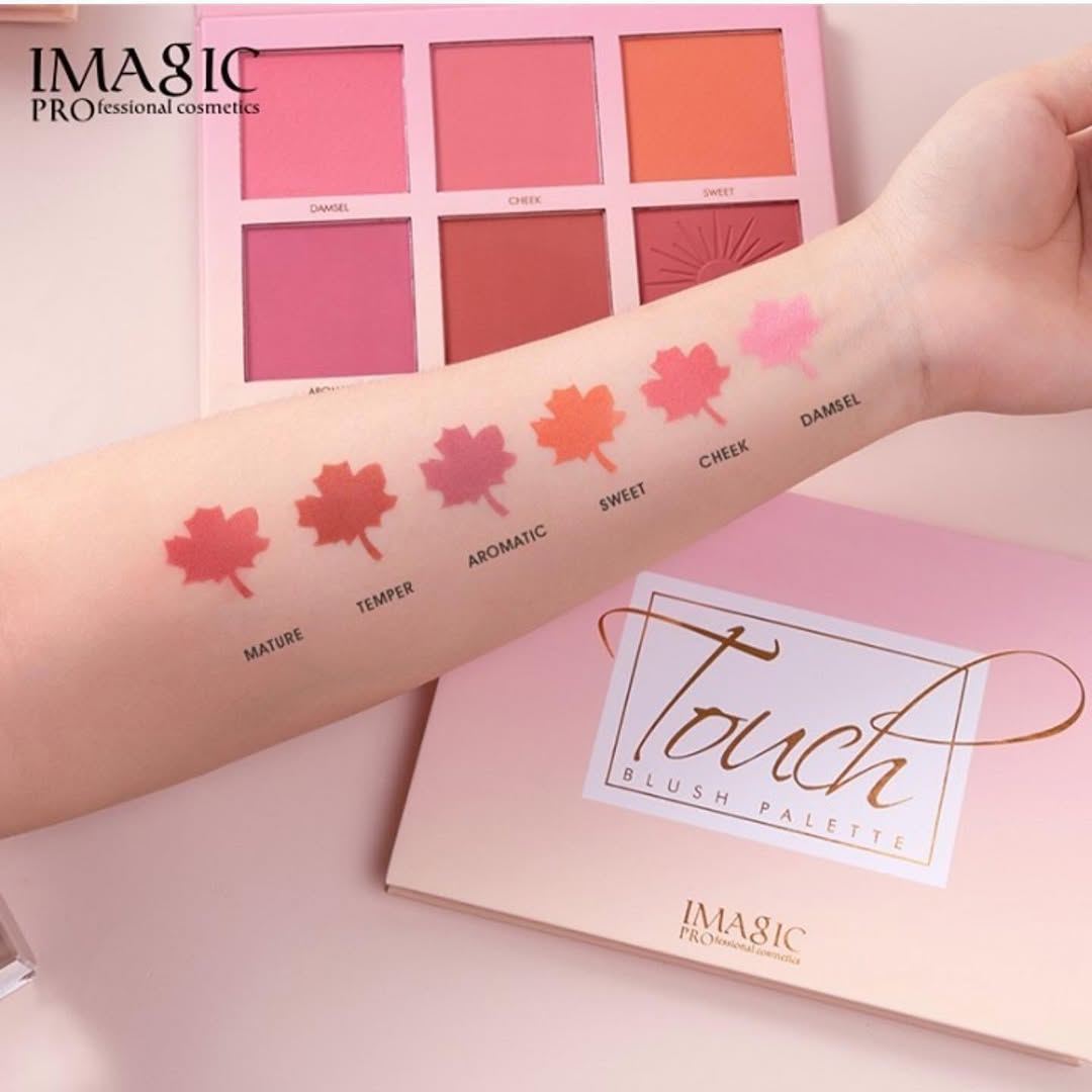 IMagic PROfessional 6 Colour Touch Blush Palette