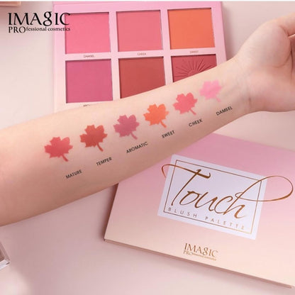 IMagic PROfessional 6 Colour Touch Blush Palette