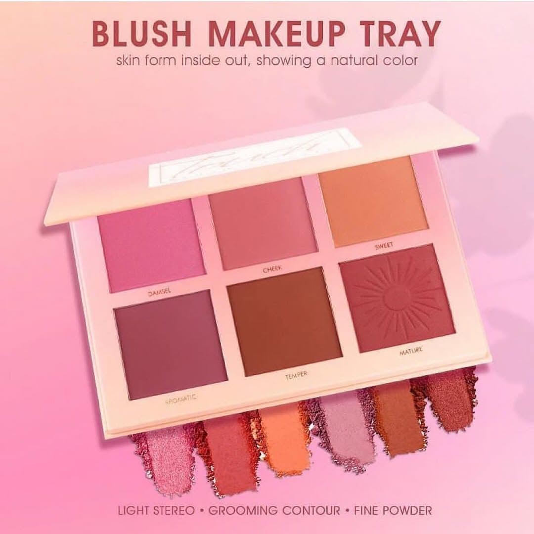 IMagic PROfessional 6 Colour Touch Blush Palette