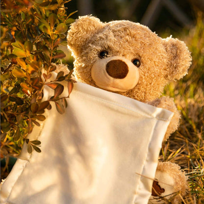 Peek A Boo Teddy Bear - Animated with Voice