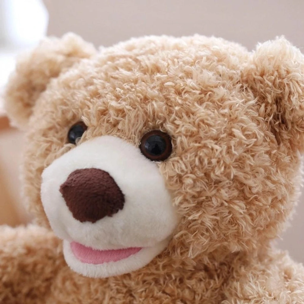 Peek A Boo Teddy Bear - Animated with Voice